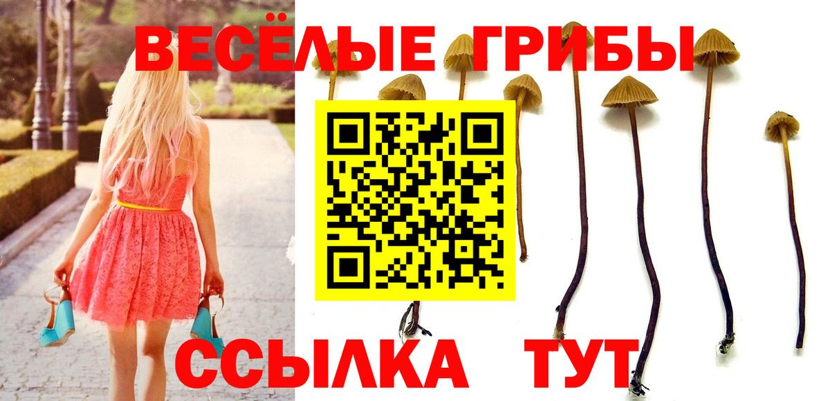 Псилоцибиновые грибы MAGIC MUSHROOMS  Псилоцибиновые грибы мицелий  Копейск  Вход с VPN 